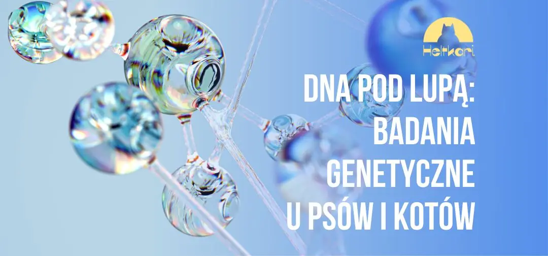 DNA pod lupą: badania genetyczne u psów i kotów.