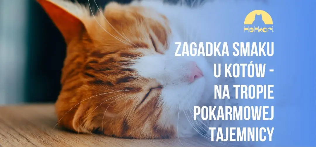 Zagadka smaku u kotów – na tropie pokarmowej tajemnicy.