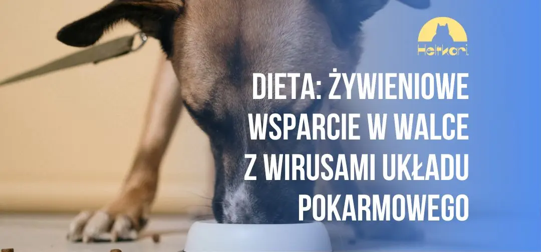 Dieta jako oręż: żywieniowe wsparcie w walce z wirusami układu pokarmowego.