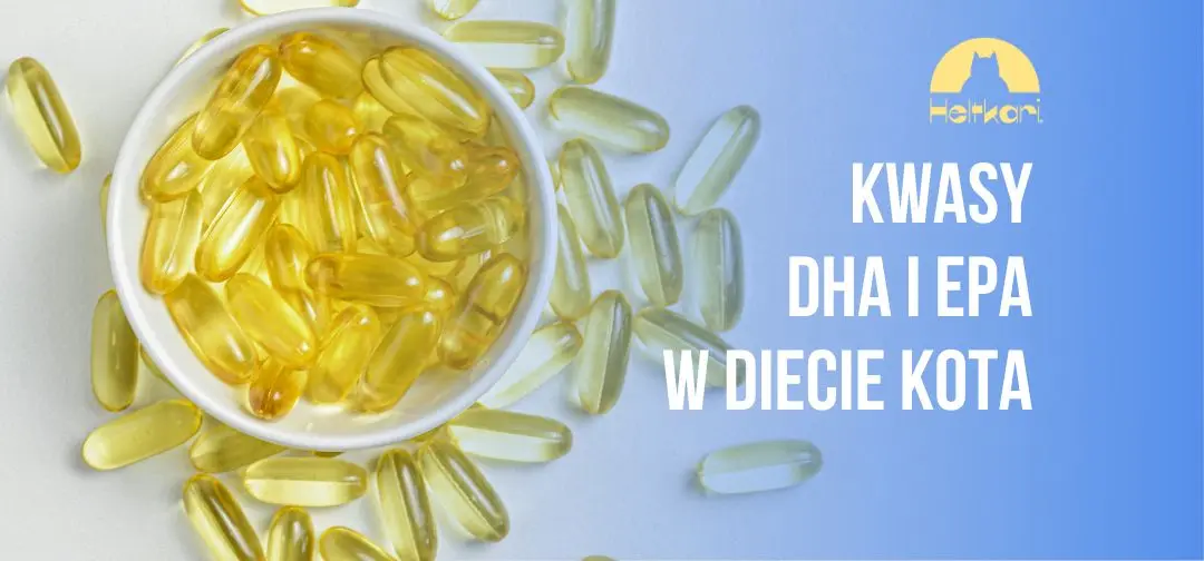 Kwasy DHA i EPA dla kota: niezbędne składniki kociej diety.