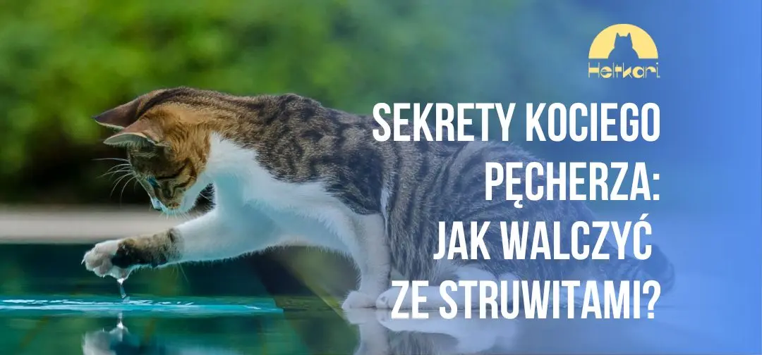Sekrety kociego pęcherza: jak walczyć ze struwitami?
